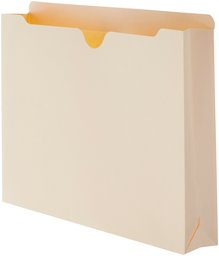 Lima reforzada de AmazonBasics con pestaña de corte recto